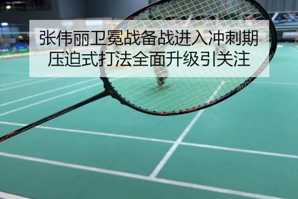 张伟丽卫冕战备战进入冲刺期 压迫式打法全面升级引关注